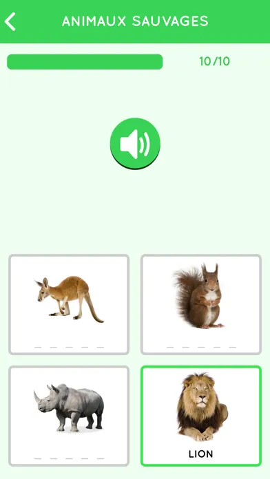 Learn French for beginners应用截图