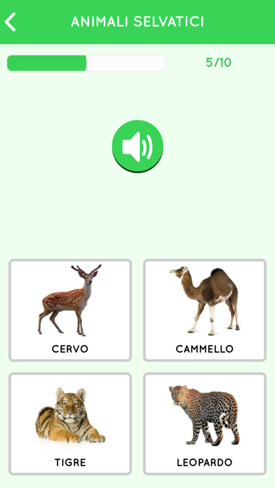 Learn Italian beginners Screenshots