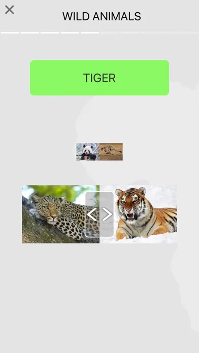 Learn English Beginners Easy স্ক্রিনশট