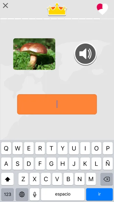 تصاویر Learn French Beginners