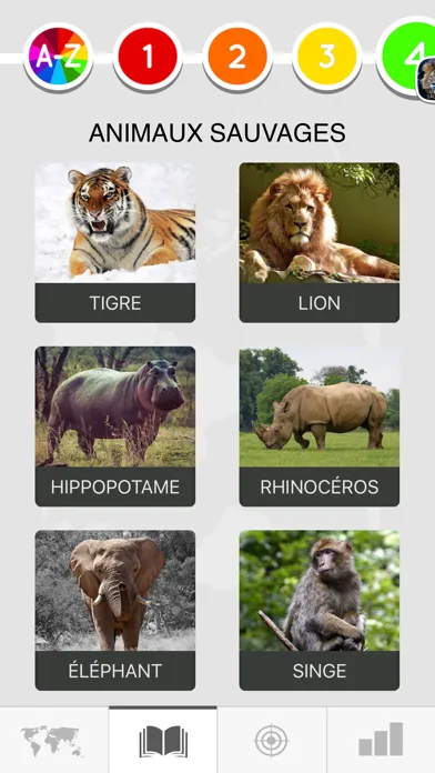 تصاویر Learn French Beginners