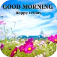 Good Morning Happy Friday Good Morning Happy Friday