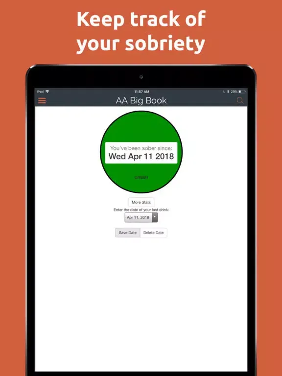 AA Big Book Pro (Unofficial) iPad  스크린샷