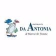 Trattoria da Antonia