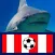 El Tiburón - Fútbol del Junior de Barranquilla