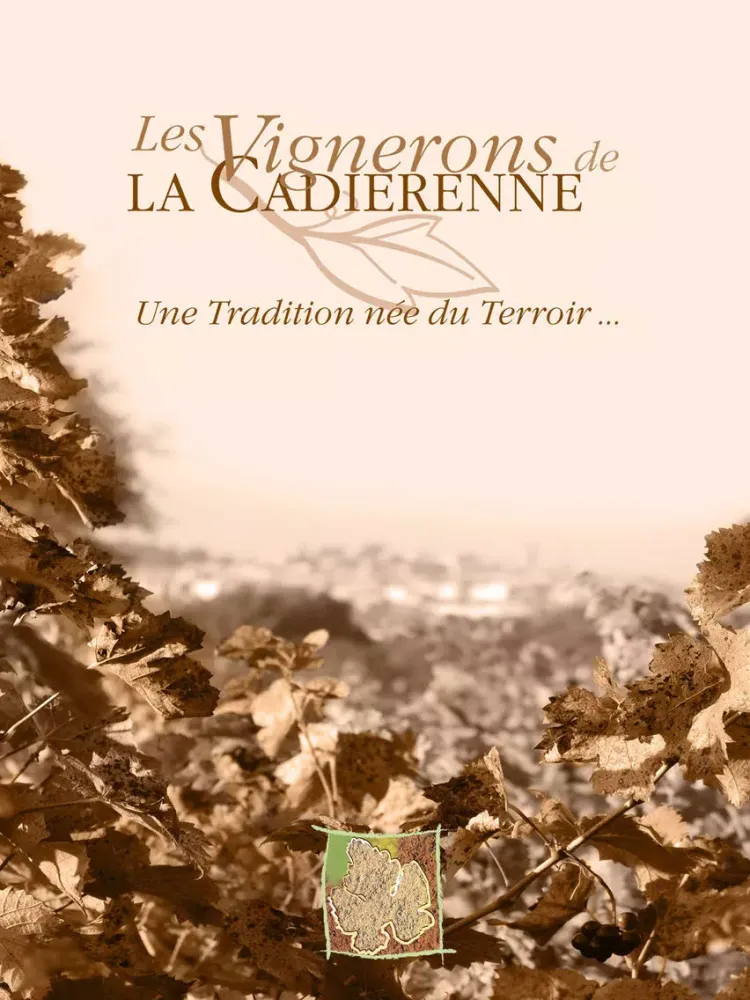 Capturas de tela do La Cadiérenne - Vins de Bandol - Côtes de Provence iPad 