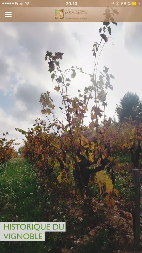 Capturas de tela do La Cadiérenne - Vins de Bandol - Côtes de Provence