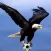 El Ciclón Azul del Motagua - Futbol de Honduras