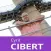Cyril Cibert #