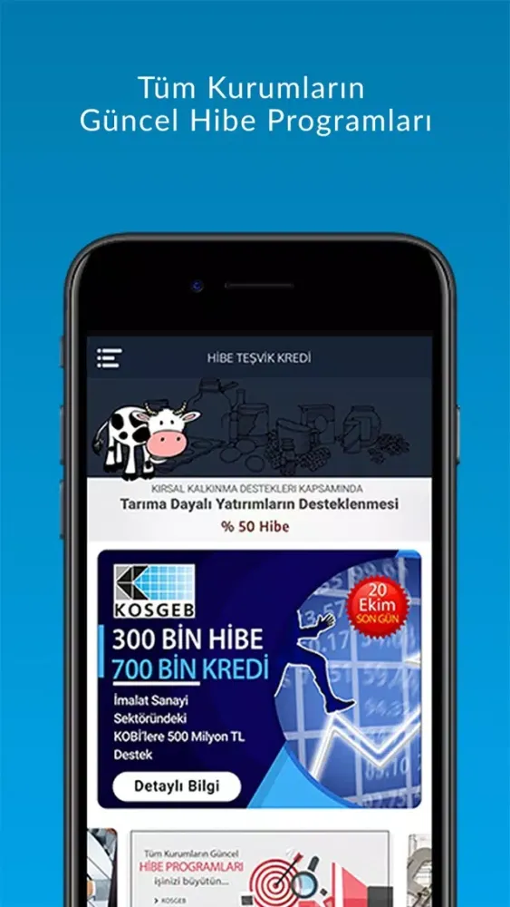 Скриншоты Hibe Teşvik Kredi
