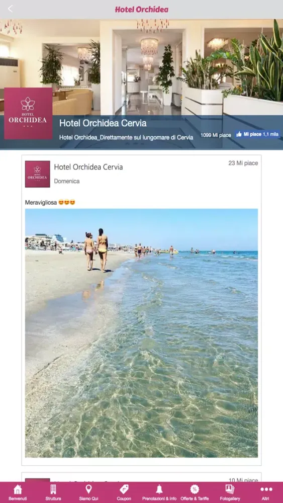 Zrzuty ekranu Hotel Orchidea