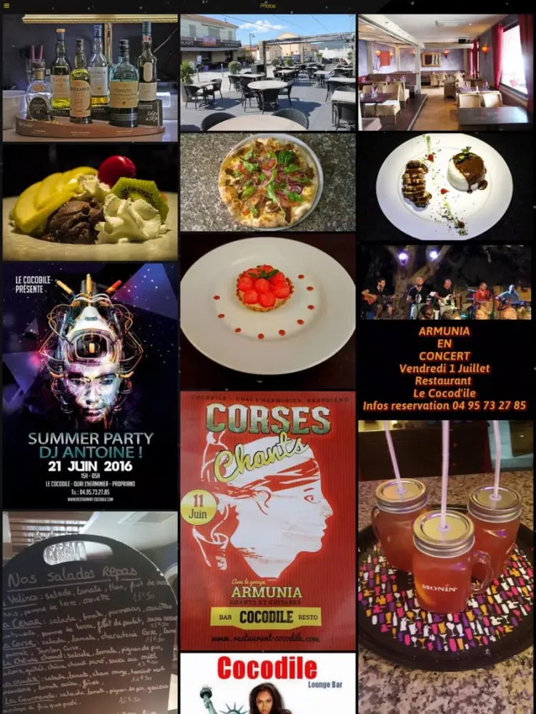Restaurant le Cocodile iPad  스크린샷