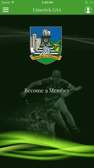 Tangkapan layar Limerick GAA
