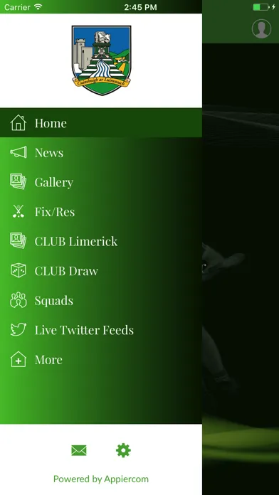 Tangkapan layar Limerick GAA