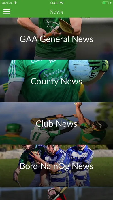 Tangkapan layar Limerick GAA