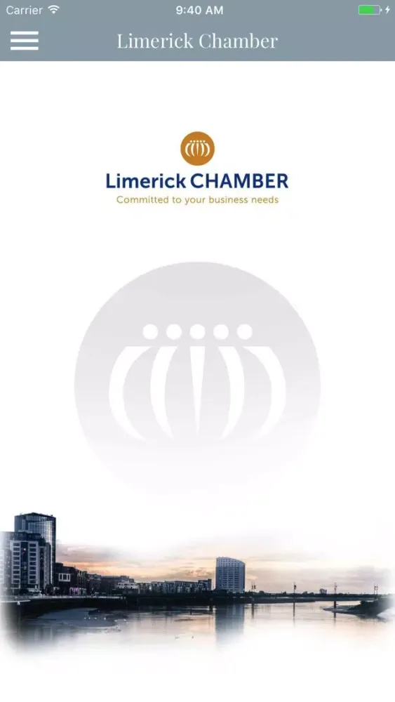 Скриншоты Limerick Chamber