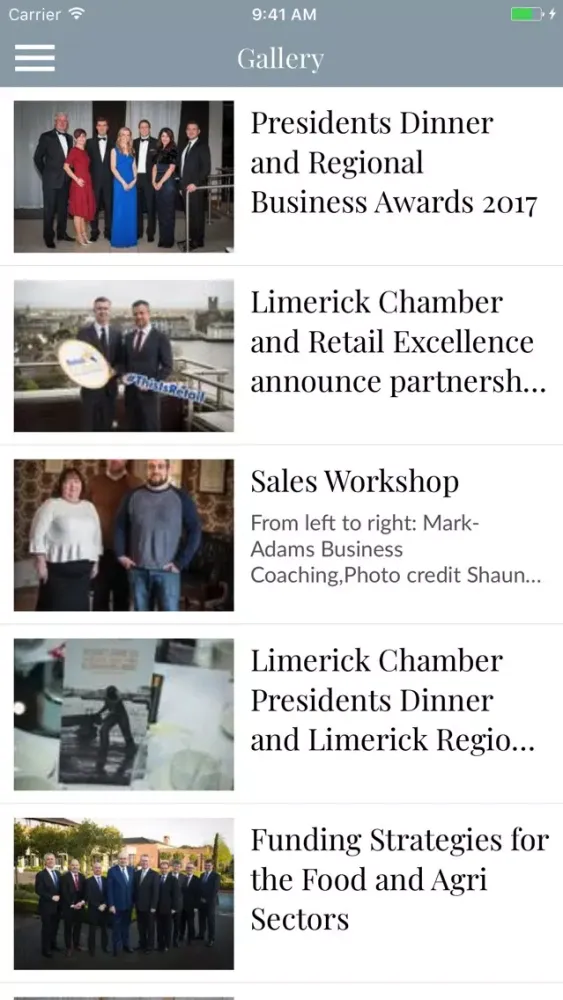 Скриншоты Limerick Chamber