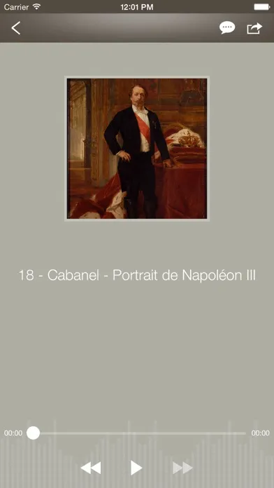 Capturas de pantalla de Musée Fesch