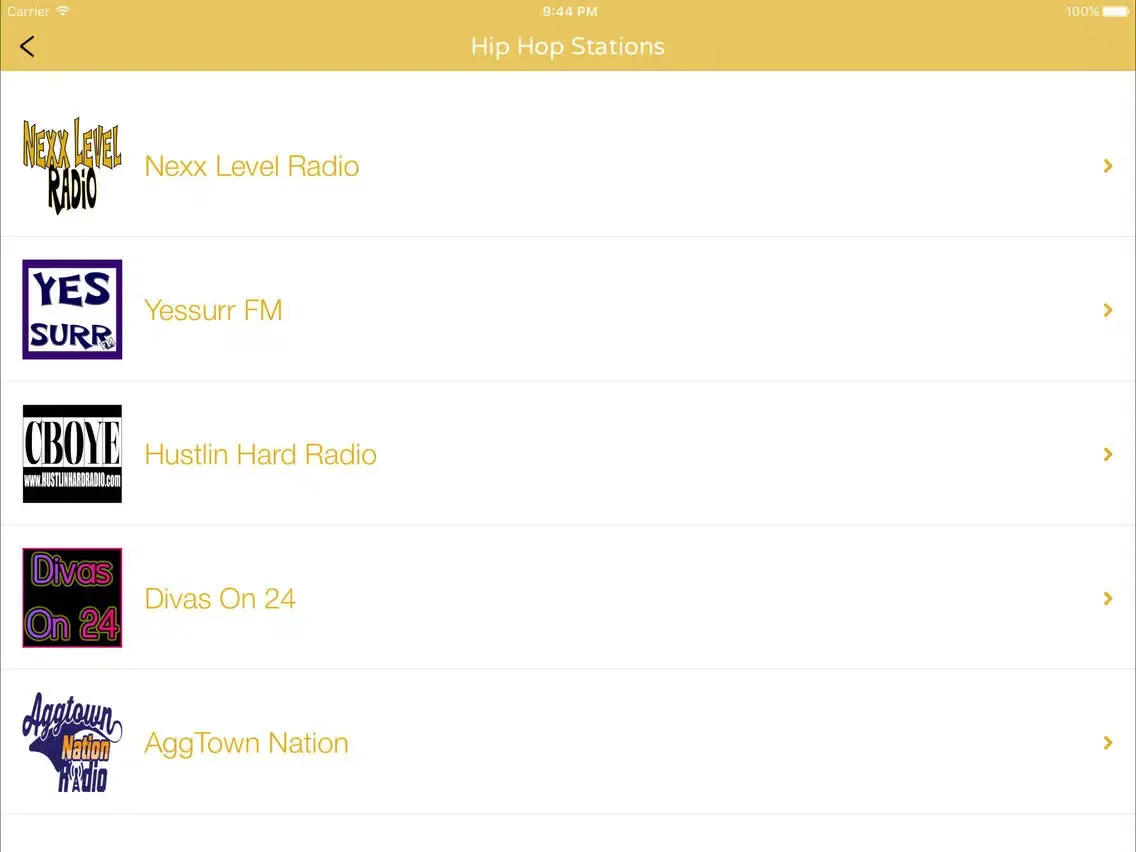 Screenshot di Nexx Level Radio iPad 