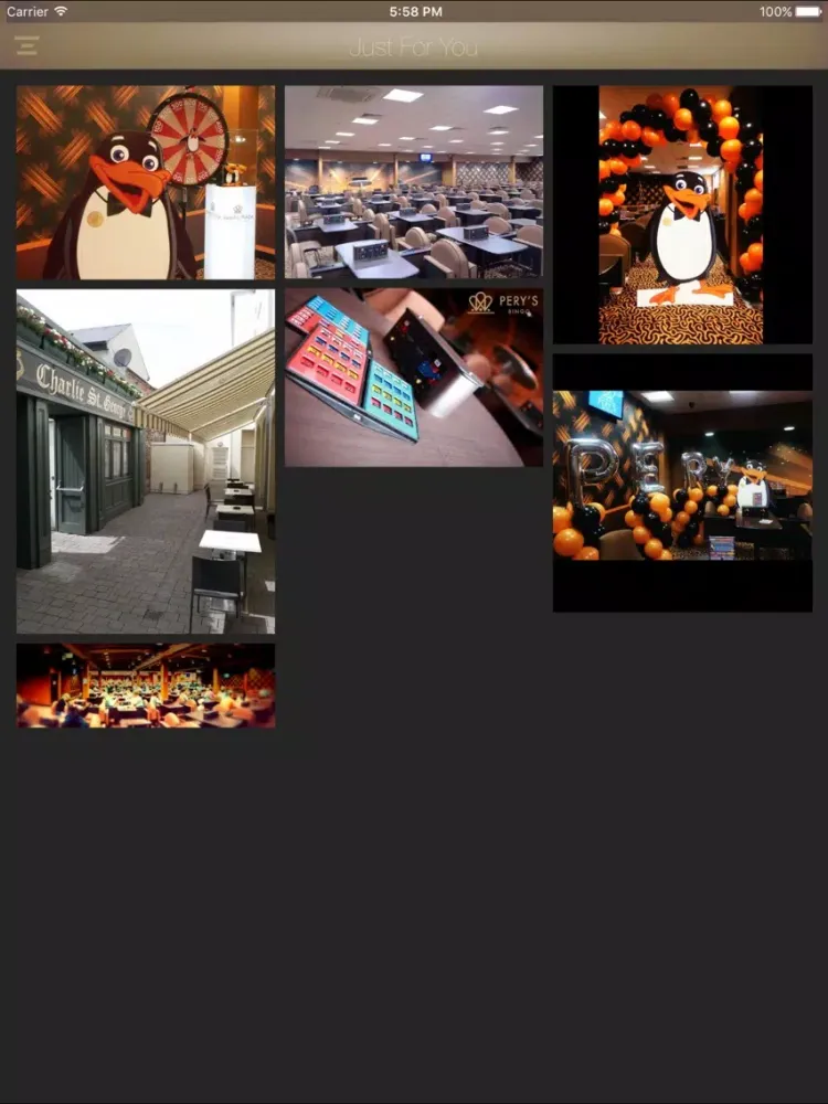 Pery's Bingo iPad  스크린샷