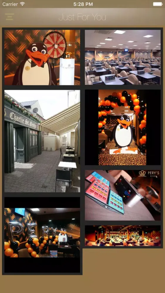 Pery's Bingo 스크린샷