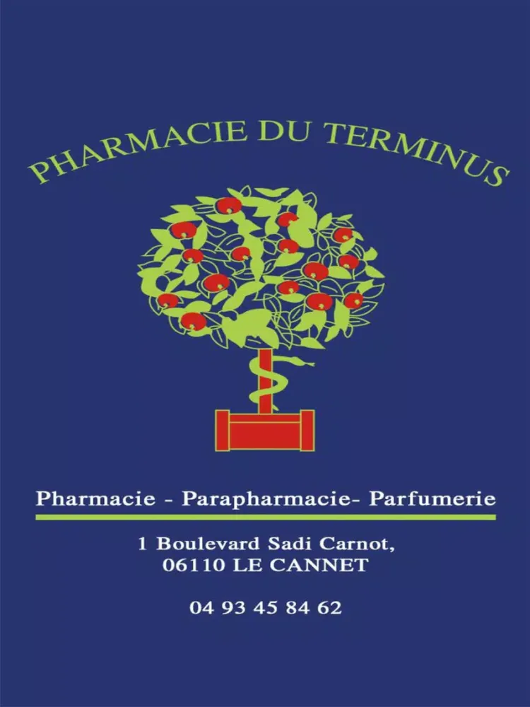 Pharmacie du Terminus Le Cannet iPad  سکرین شاٹس