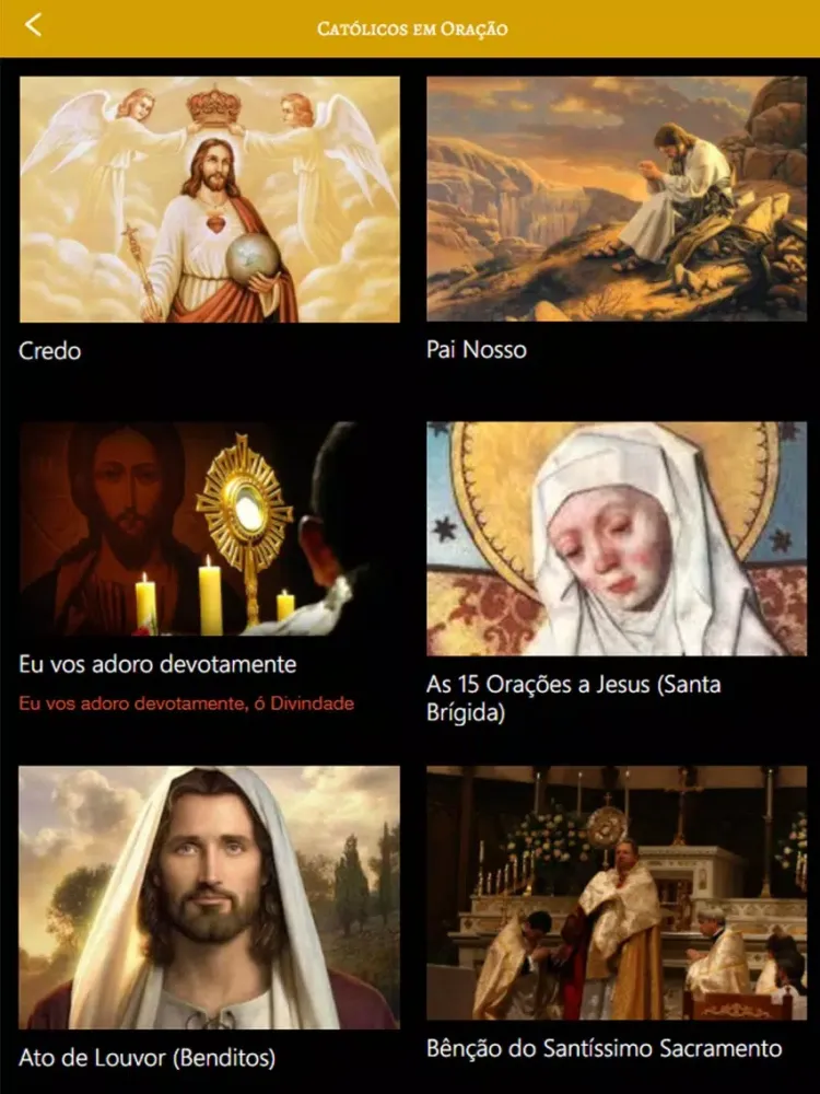 Скриншоты Católicos em Oração iPad 