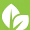 Renew Life Church