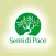 Semi di Pace