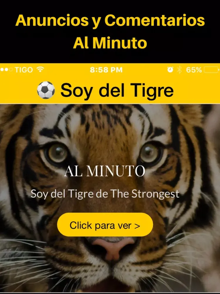 Screenshot di Soy del Tigre - The Strongest - Bolivia Futbol iPad 