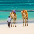 The Sands at Nomad