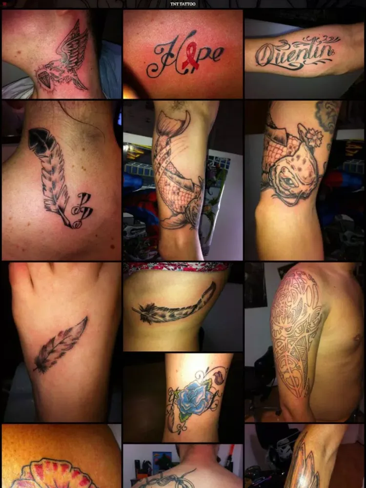 TNT Tattoo iPad  스크린샷