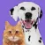 Pet Parade: Cutest Pet Game