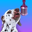 PetStar: My Pet Sings & Dances PetStar: My Pet Sings & Dances