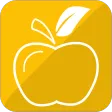 Diet Recipes