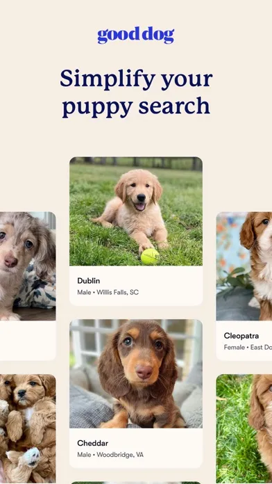 Скриншоты Good Dog: Find Your New Puppy