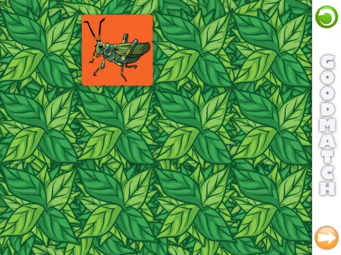 Good Match: Bugs! iPad  Screenshots