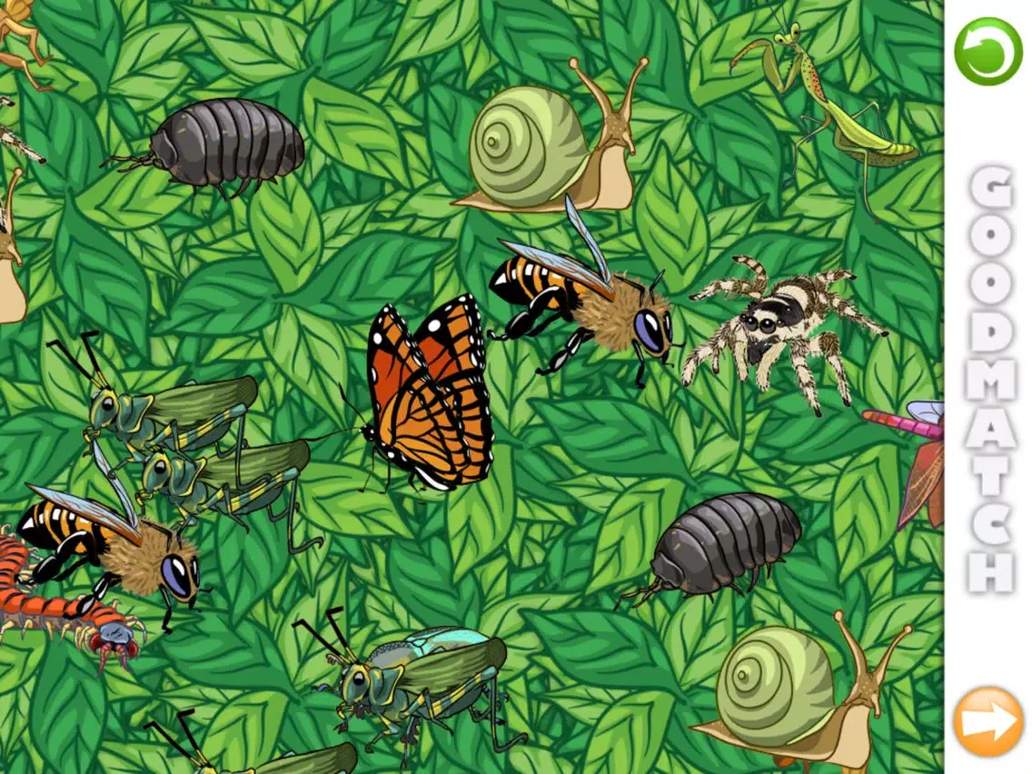 Good Match: Bugs! iPad  Screenshots