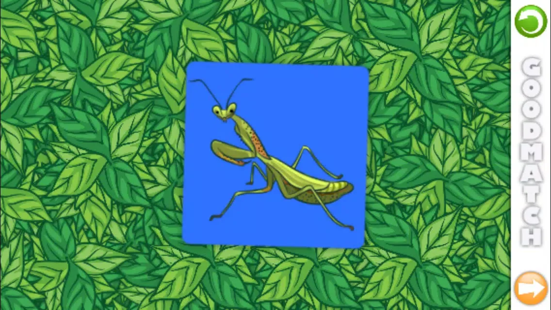 Good Match: Bugs! Screenshots