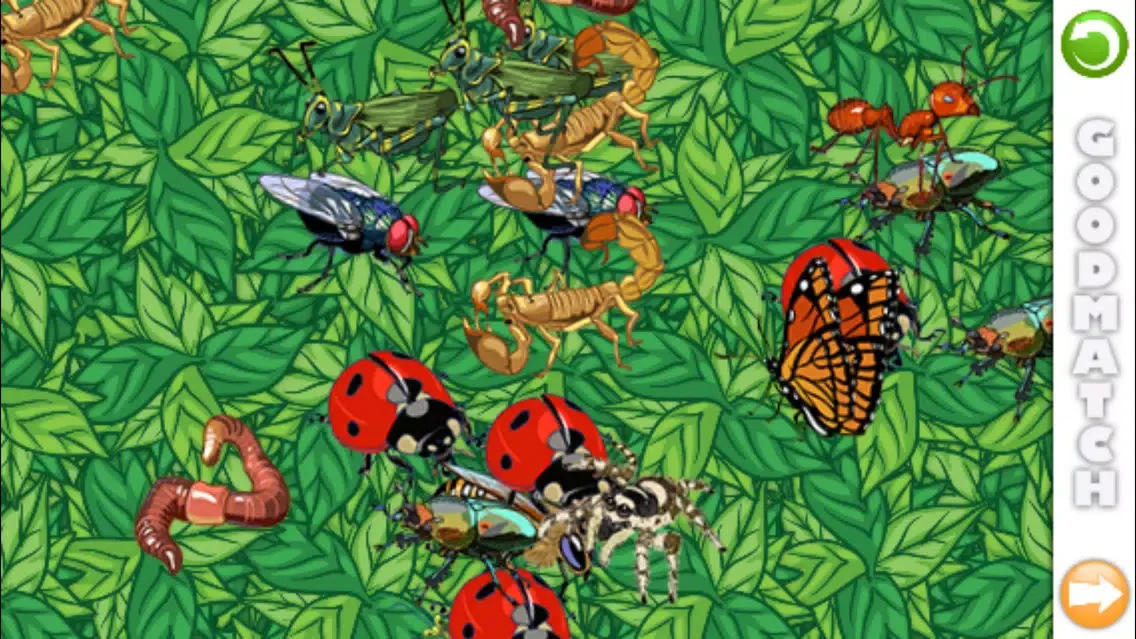 Good Match: Bugs! Screenshots