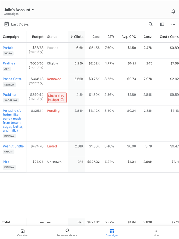 Google Ads iPad  Screenshots