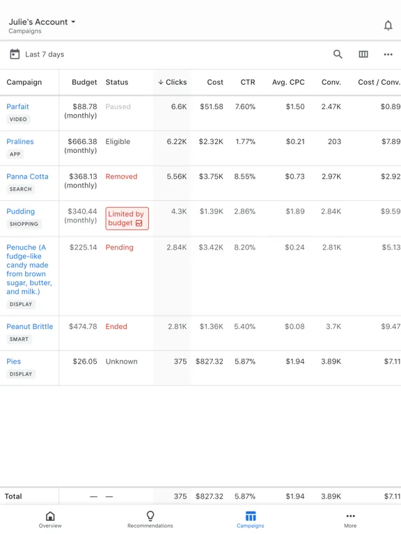 Capturas de pantalla de Google Ads iPad 