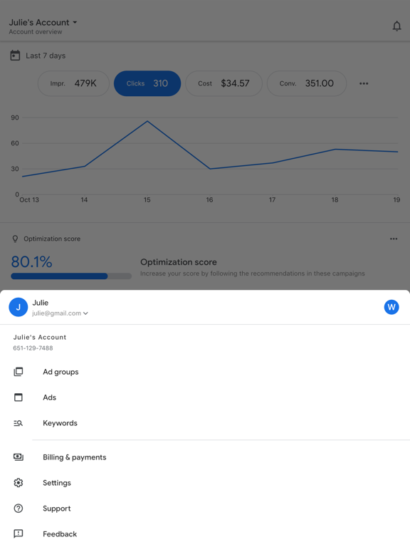 Google Ads iPad  Screenshots