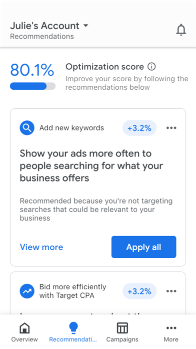 Google Ads Screenshots