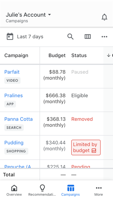 Google Ads Screenshots
