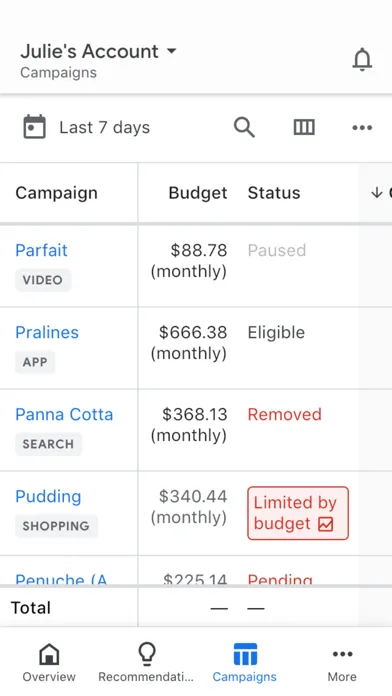 Capturas de pantalla de Google Ads