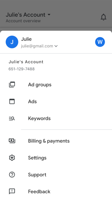 Google Ads Screenshots
