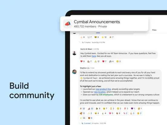 Google Chat iPad  Screenshots