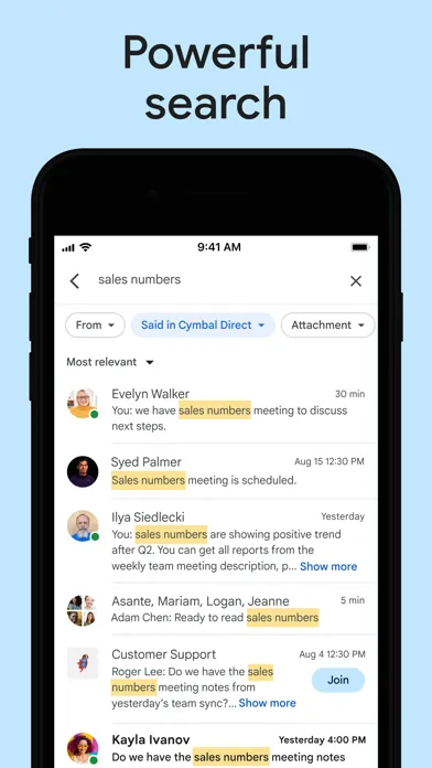 Google Chat Screenshots