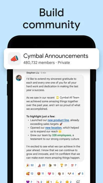 Google Chat Screenshots